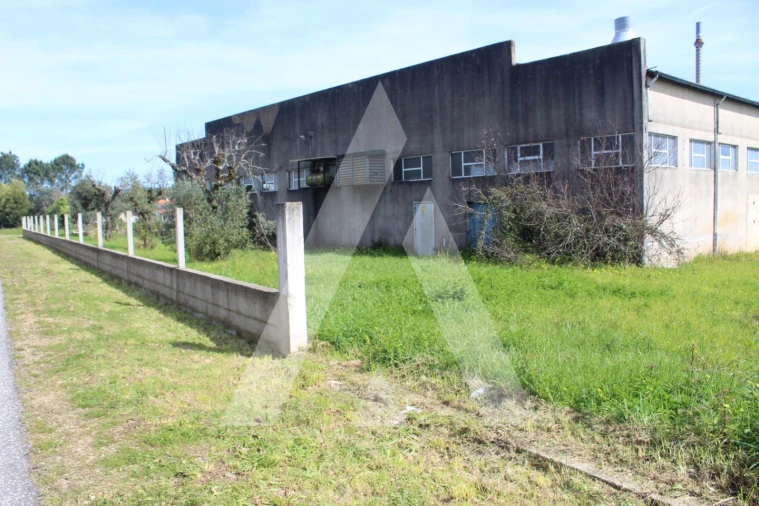 Armazém para Venda em Macinhata do Vouga Foto 42