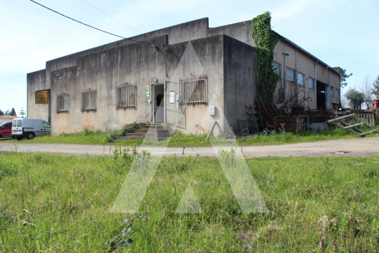 Armazém para Venda em Macinhata do Vouga Foto 43