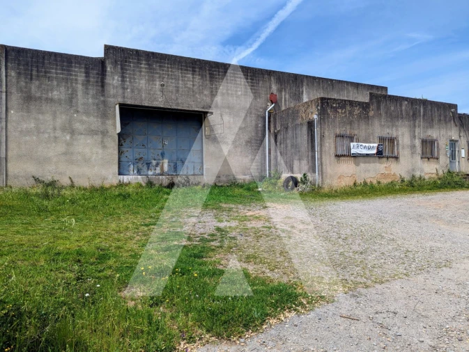 Armazém para Venda em Macinhata do Vouga Foto 45