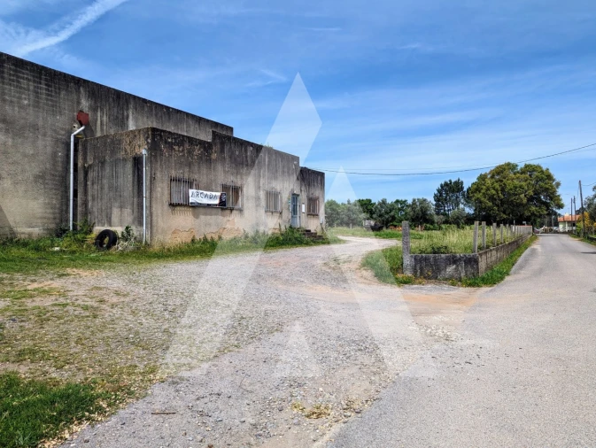 Armazém para Venda em Macinhata do Vouga Foto 46