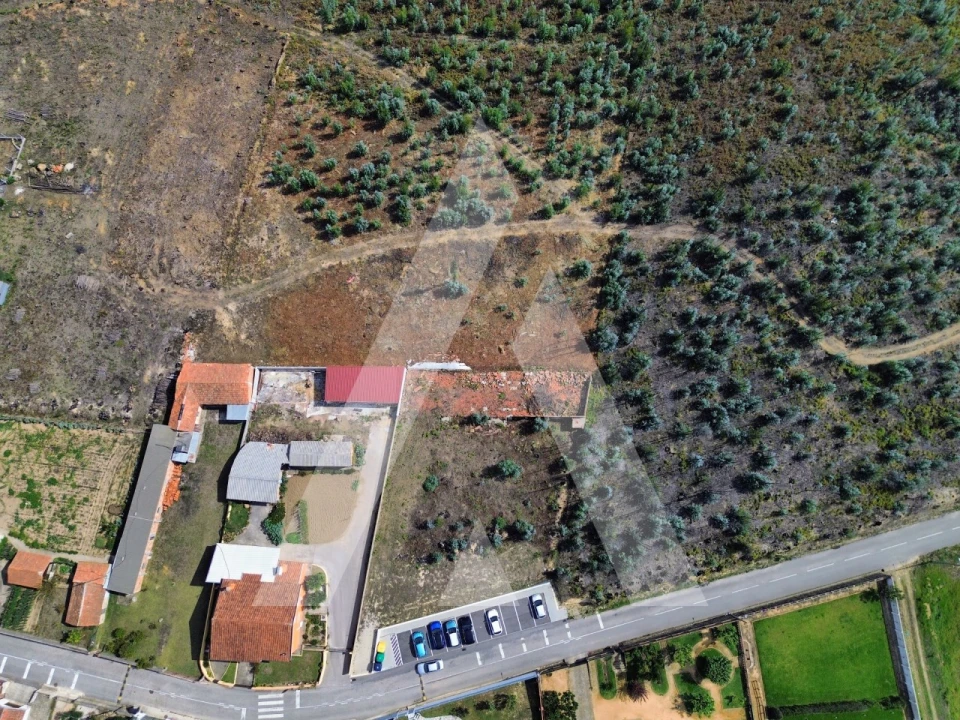 Terreno para Venda em Branca Foto 3