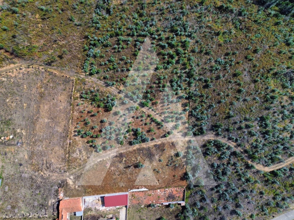 Terreno para Venda em Branca Foto 5