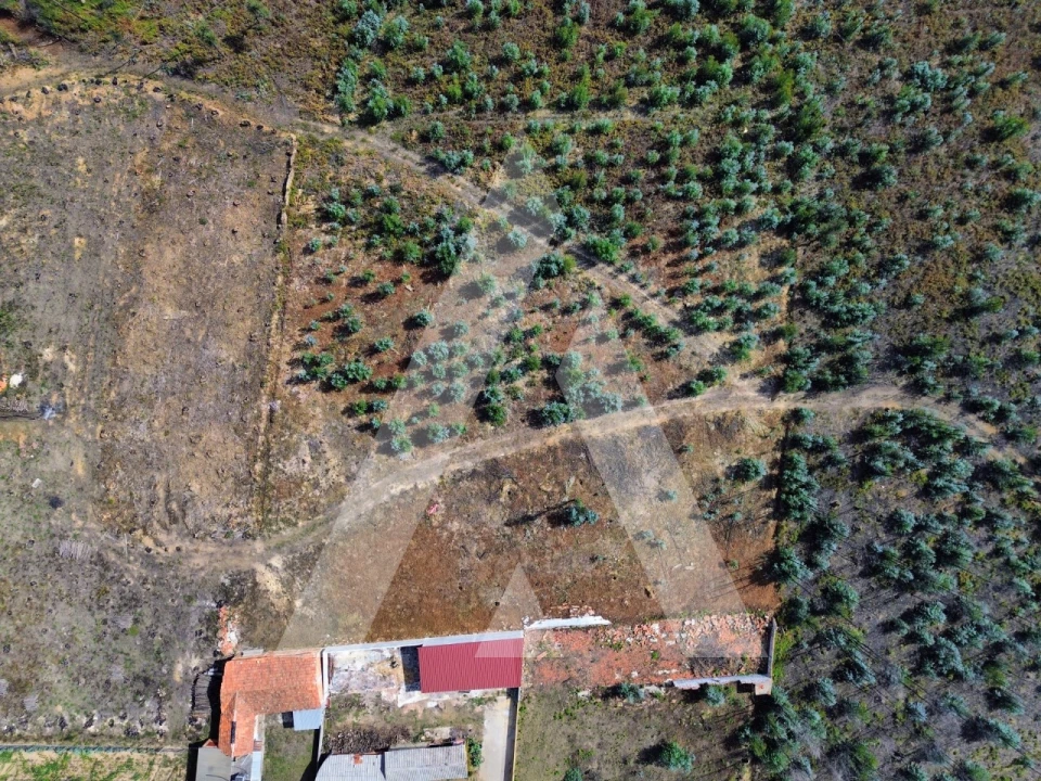 Terreno para Venda em Branca Foto 7