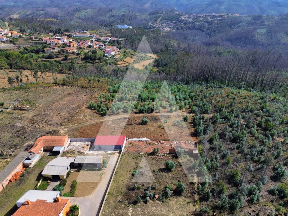 Terreno para Venda em Branca Foto 8