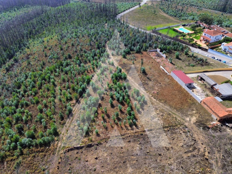 Terreno para Venda em Branca Foto 9