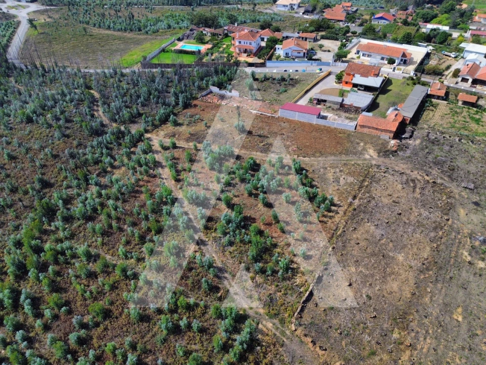 Terreno para Venda em Branca Foto 11