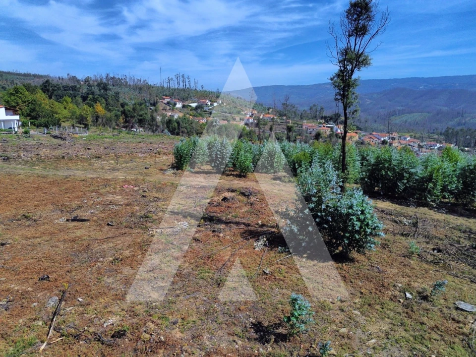 Terreno para Venda em Branca Foto 12