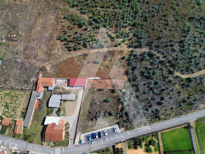 Terreno para Venda em Branca Foto 3