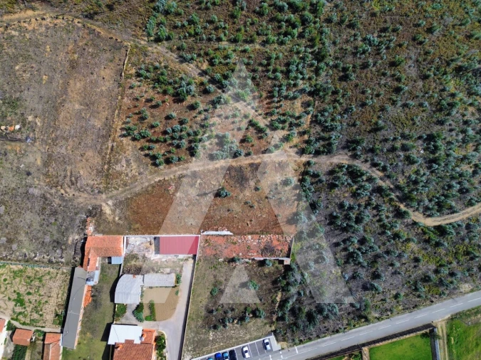 Terreno para Venda em Branca Foto 4