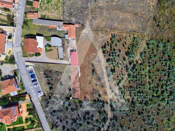 Terreno para Venda em Branca Foto 6