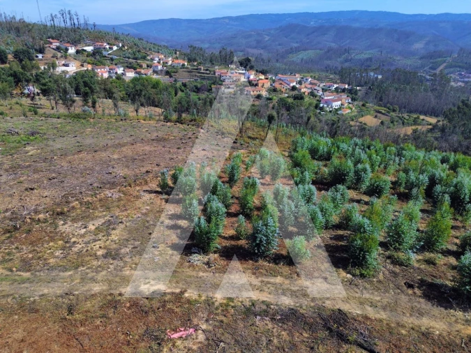 Terreno para Venda em Branca Foto 10