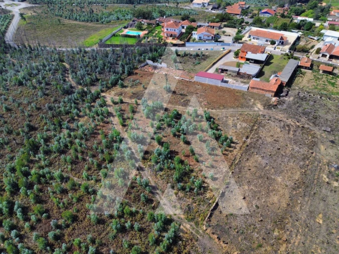Terreno para Venda em Branca Foto 11