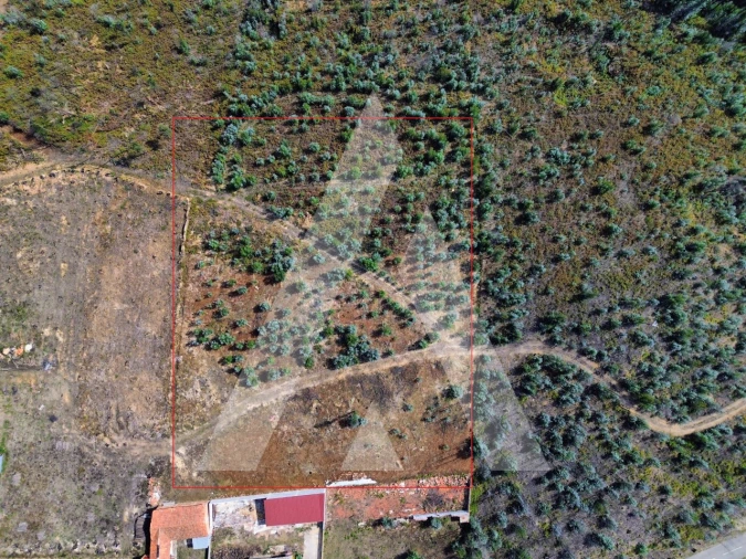 Terreno para Venda em Branca Foto 2