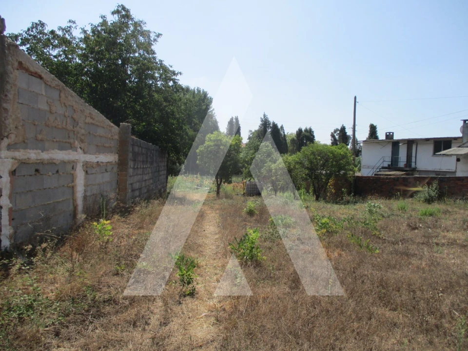 Terreno para Venda em Oliveira do Bairro Foto 6