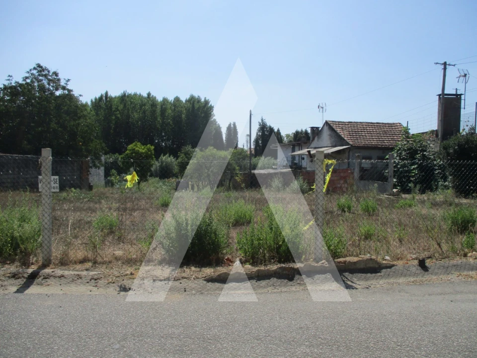 Terreno para Venda em Oliveira do Bairro Foto 8