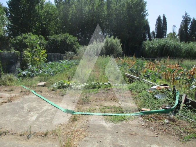 Terreno para Venda em Oliveira do Bairro Foto 2