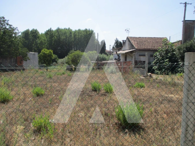 Terreno para Venda em Oliveira do Bairro Foto 4