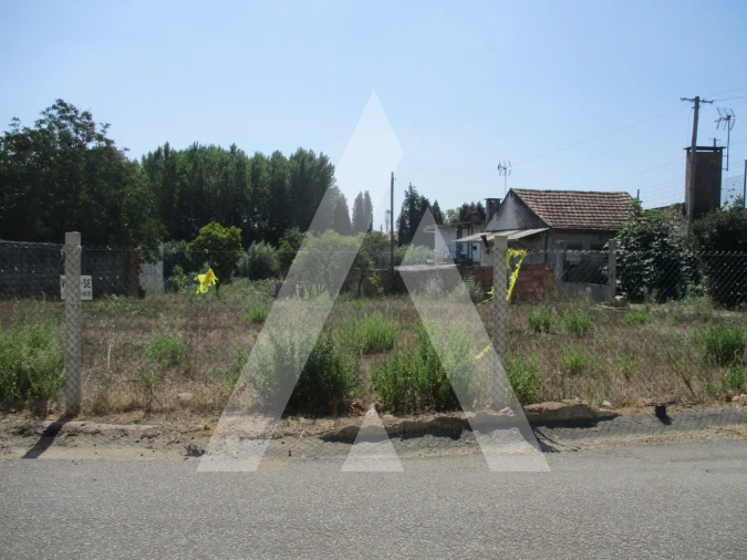 Terreno para Venda em Oliveira do Bairro Foto 8