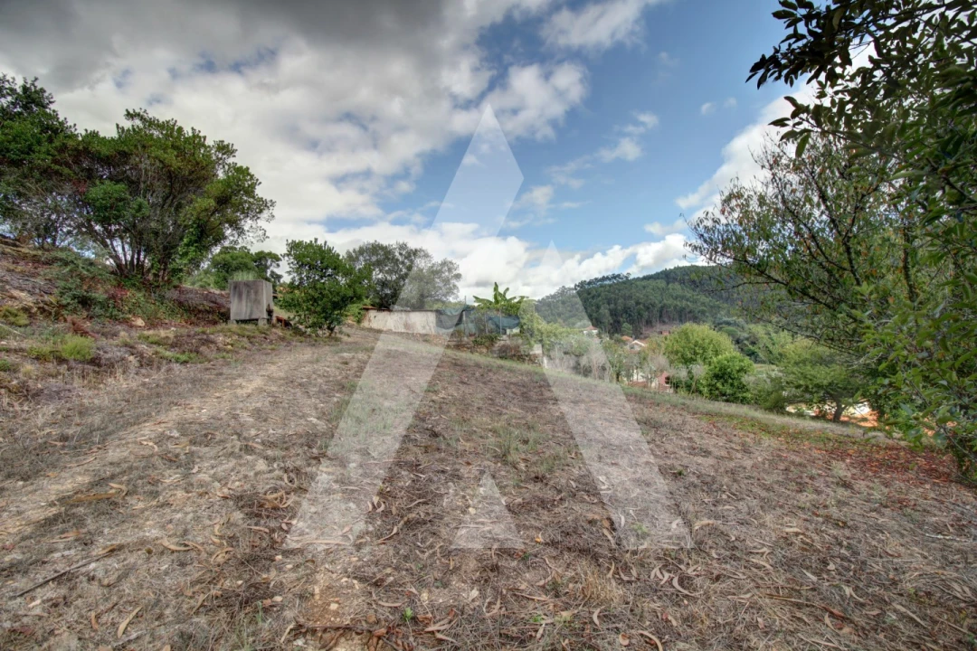 Moradia T4 para Venda em Avelãs de Cima Foto 34