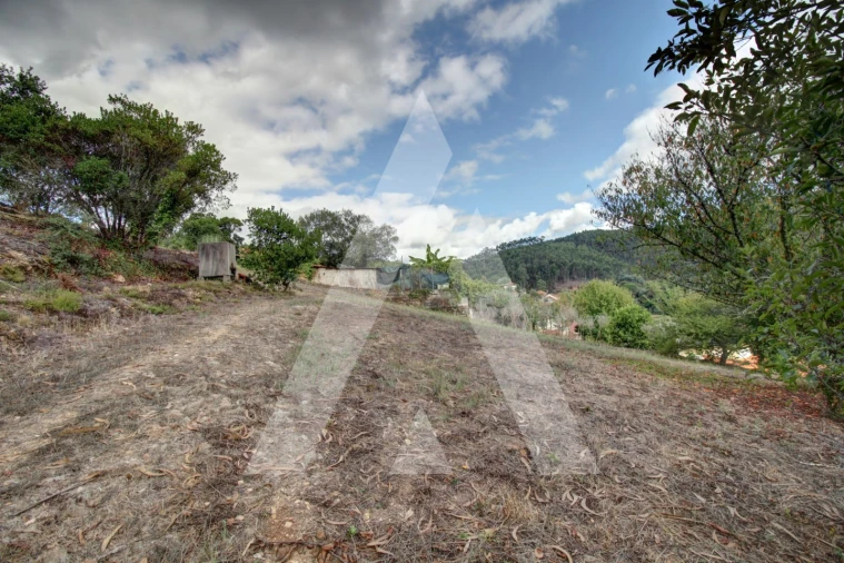 Moradia T4 para Venda em Avelãs de Cima Foto 34