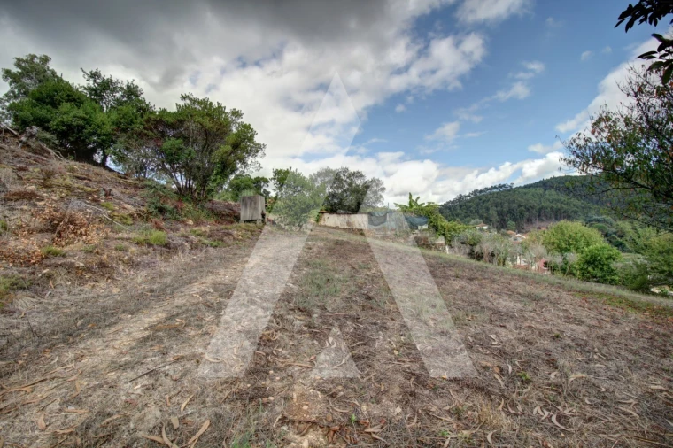 Moradia T4 para Venda em Avelãs de Cima Foto 35