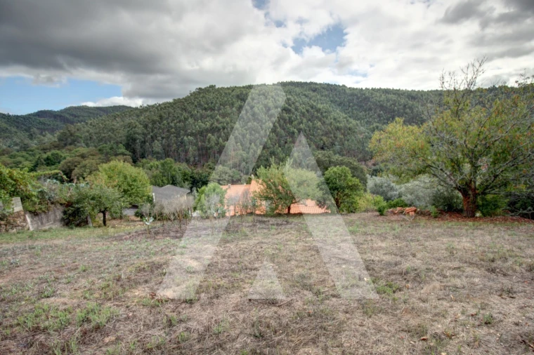 Moradia T4 para Venda em Avelãs de Cima Foto 36