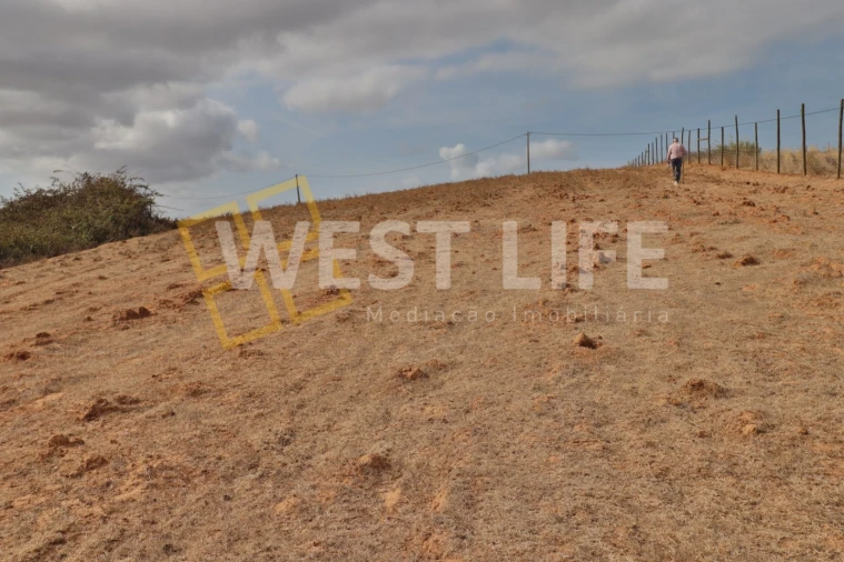 Terreno Agricola ou Rústico para Venda em A dos Cunhados e Maceira Foto 6