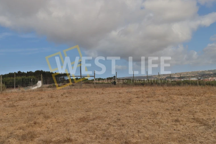 Terreno Agricola ou Rústico para Venda em A dos Cunhados e Maceira Foto 13