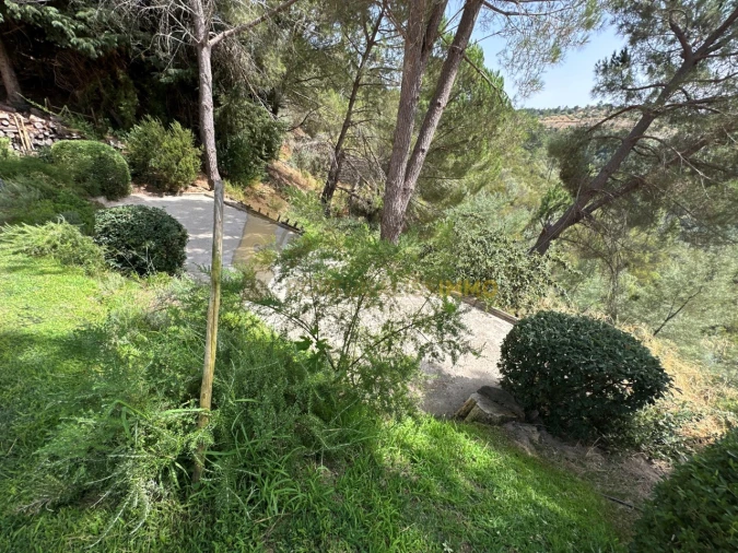 Moradia T4 para Venda em Aldeia do Mato e Souto Foto 57