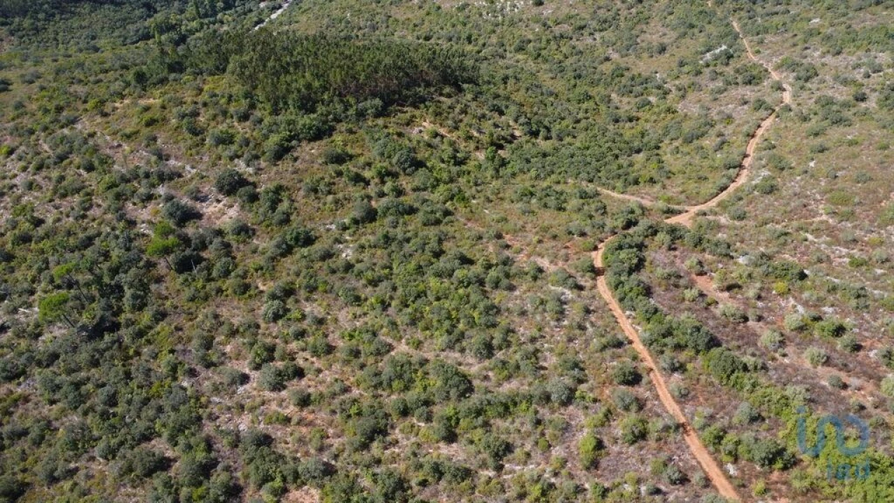 Terreno para Venda em Freixianda, Ribeira do Fárrio e Formigais Foto 12