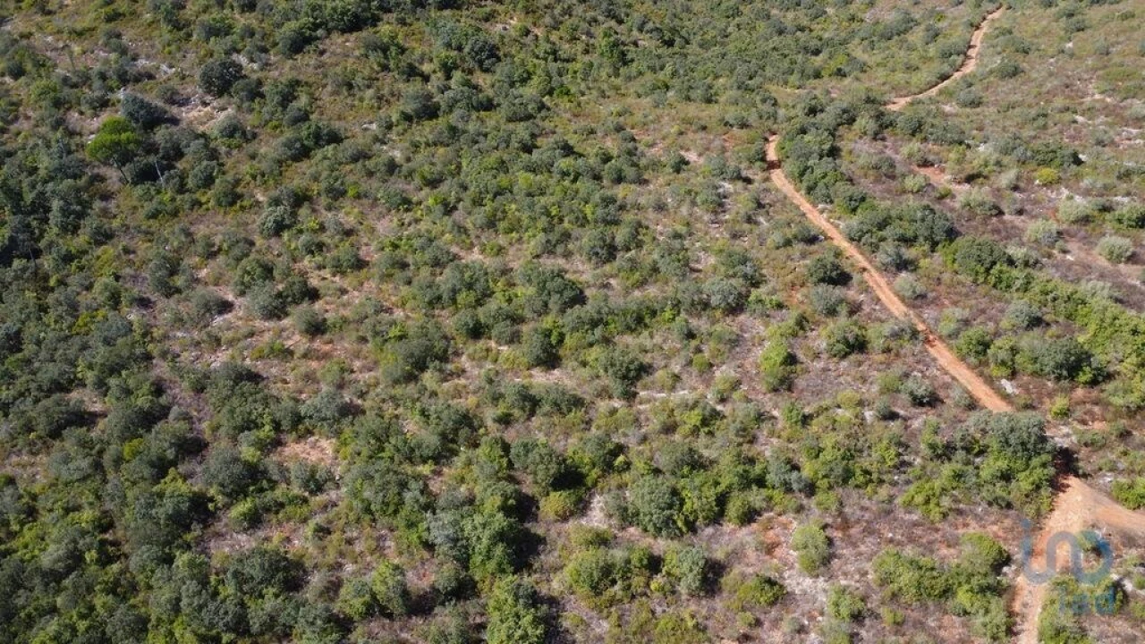 Terreno para Venda em Freixianda, Ribeira do Fárrio e Formigais Foto 13