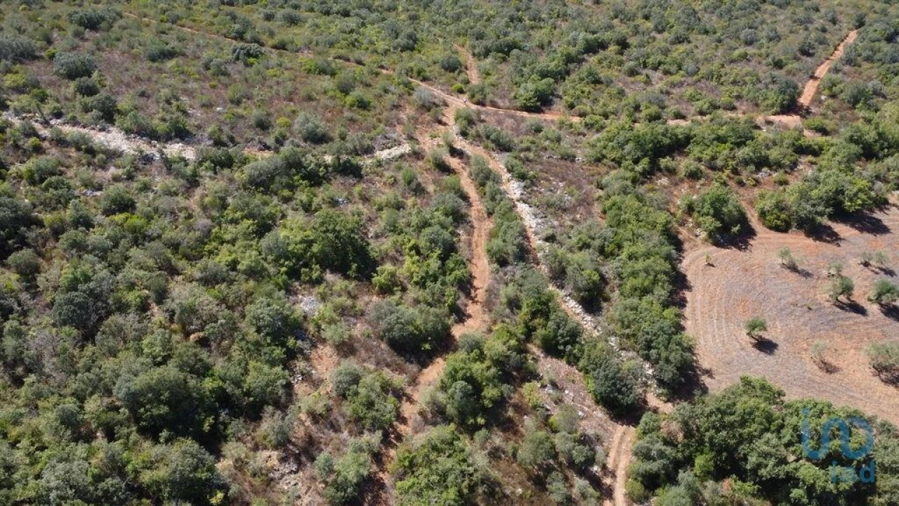 Terreno para Venda em Freixianda, Ribeira do Fárrio e Formigais Foto 8