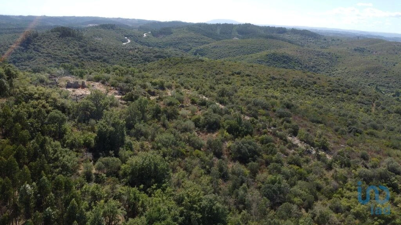 Terreno para Venda em Freixianda, Ribeira do Fárrio e Formigais Foto 3