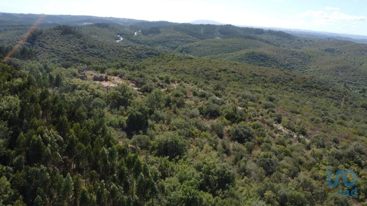 Terreno para Venda em Freixianda, Ribeira do Fárrio e Formigais Foto 4