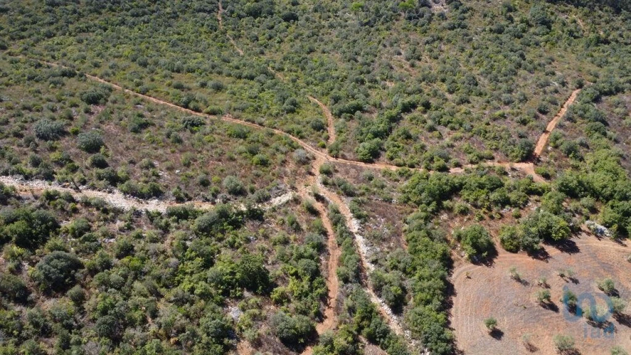 Terreno para Venda em Freixianda, Ribeira do Fárrio e Formigais Foto 9