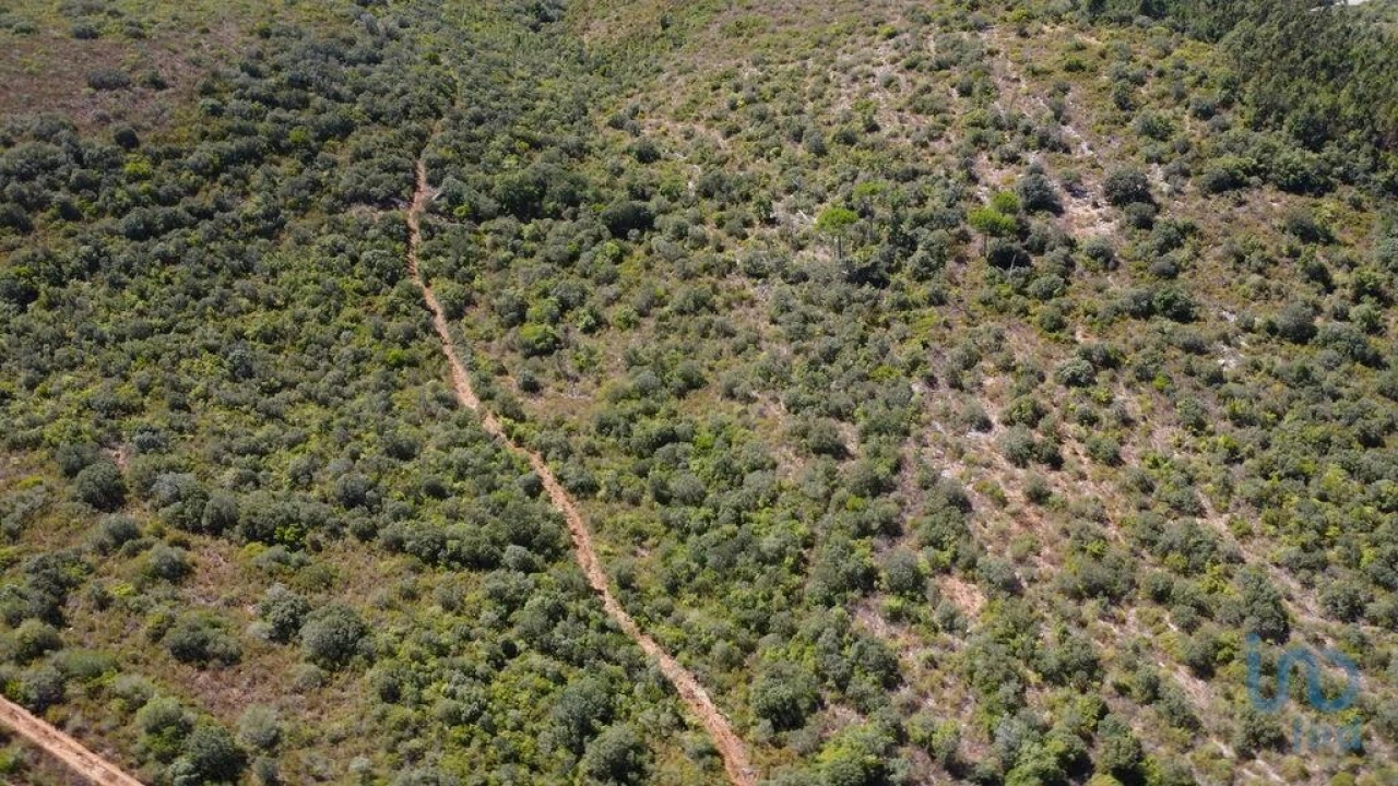 Terreno para Venda em Freixianda, Ribeira do Fárrio e Formigais Foto 10