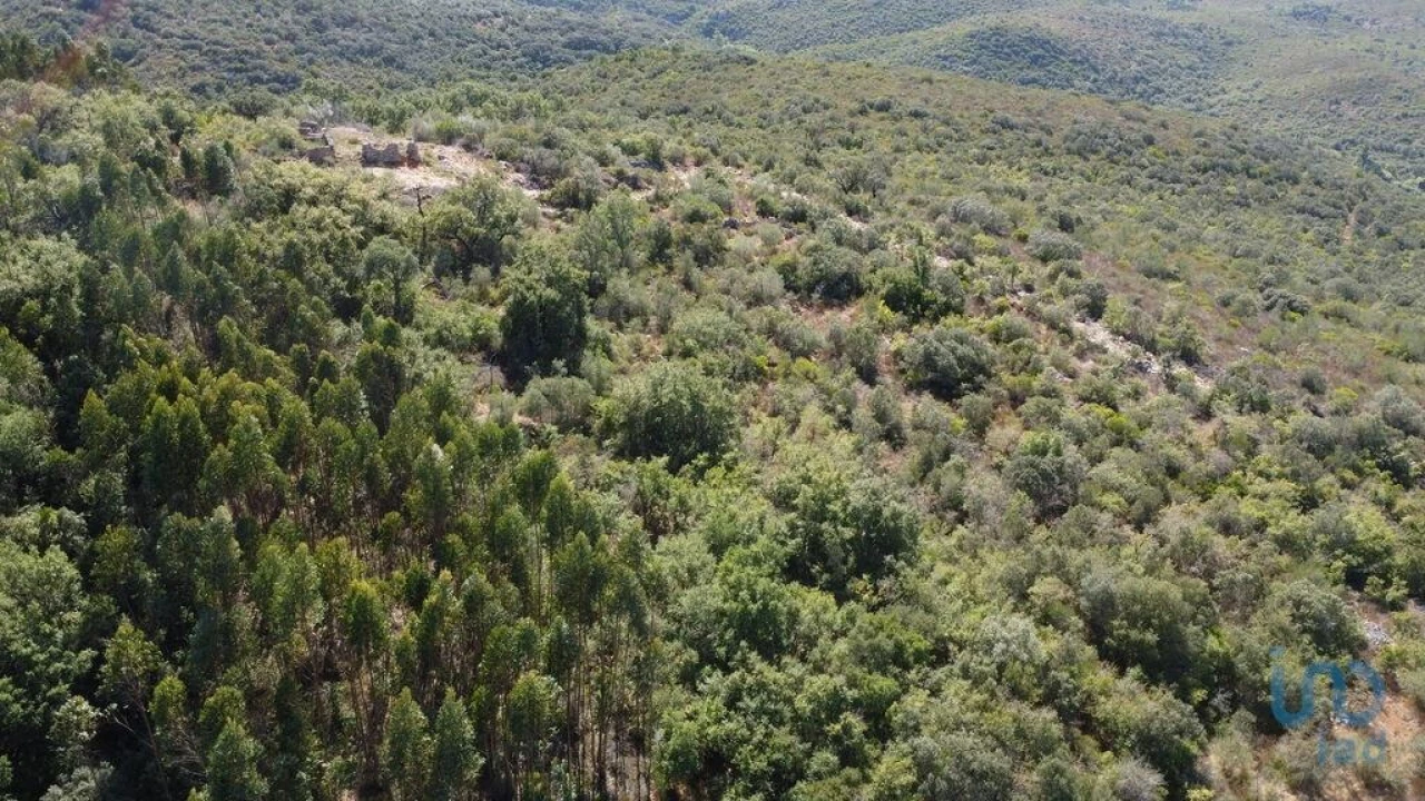 Terreno para Venda em Freixianda, Ribeira do Fárrio e Formigais Foto 5