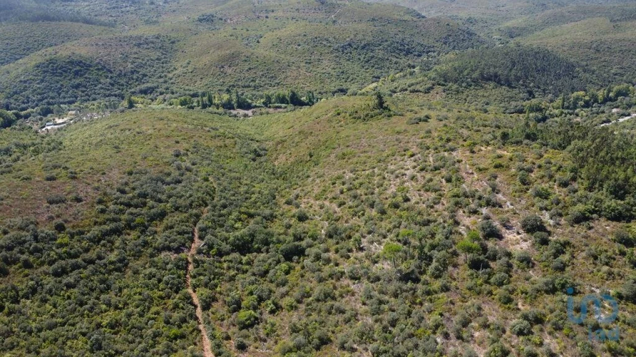 Terreno para Venda em Freixianda, Ribeira do Fárrio e Formigais Foto 11