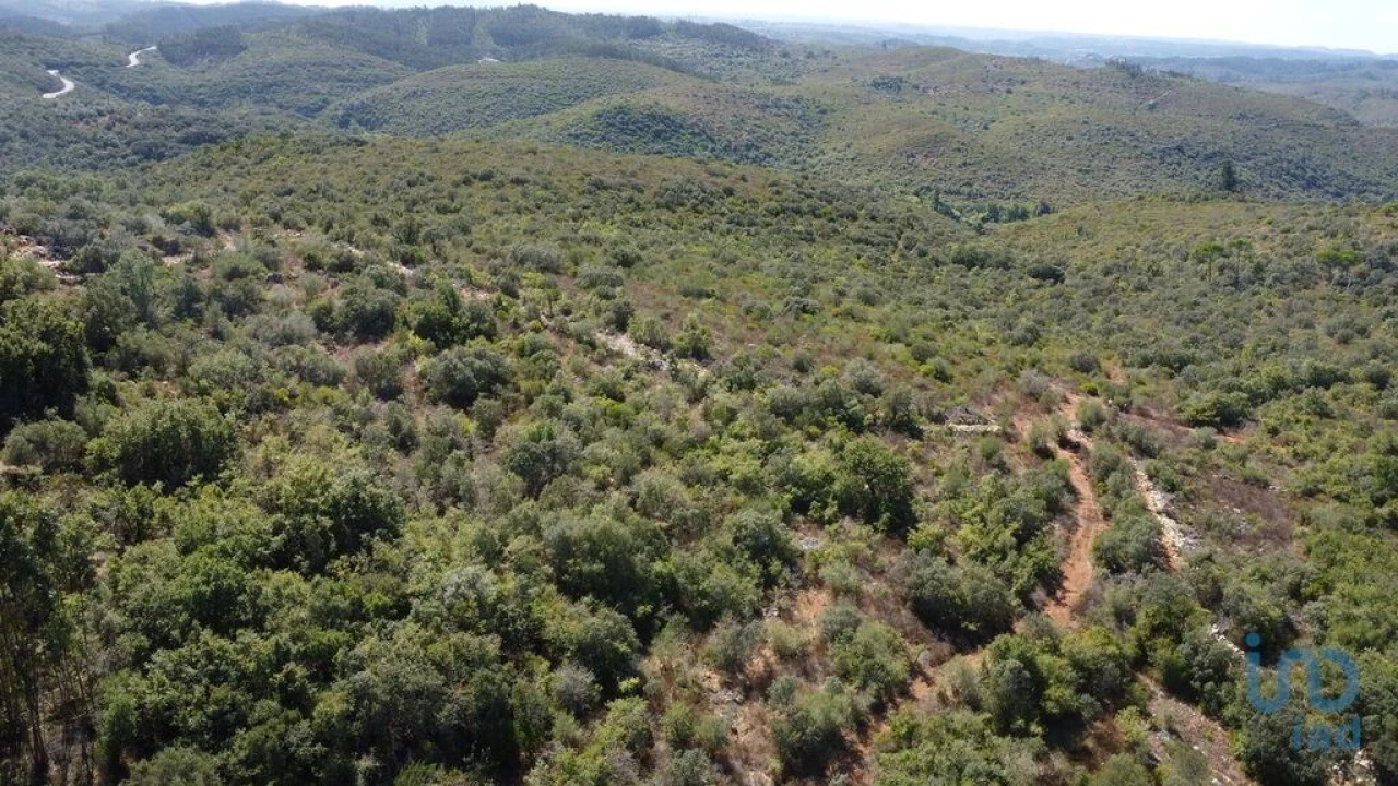 Terreno para Venda em Freixianda, Ribeira do Fárrio e Formigais Foto 1