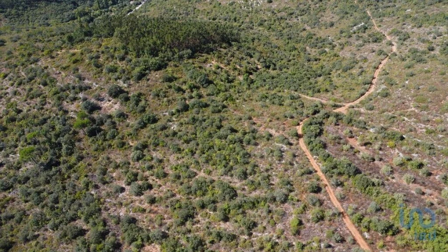 Terreno para Venda em Freixianda, Ribeira do Fárrio e Formigais Foto 12
