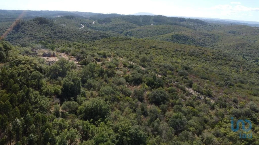 Terreno para Venda em Freixianda, Ribeira do Fárrio e Formigais Foto 3