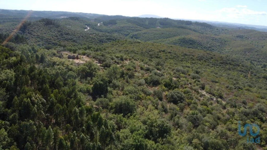 Terreno para Venda em Freixianda, Ribeira do Fárrio e Formigais Foto 4