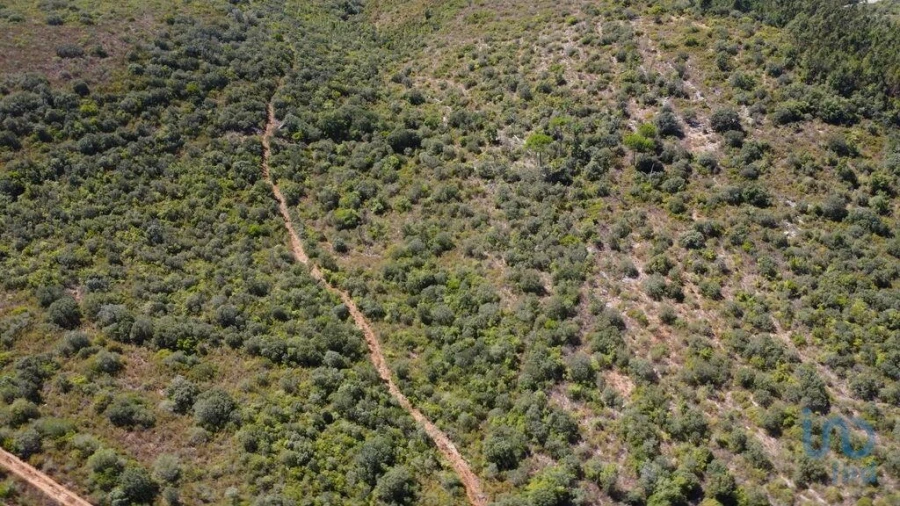 Terreno para Venda em Freixianda, Ribeira do Fárrio e Formigais Foto 10