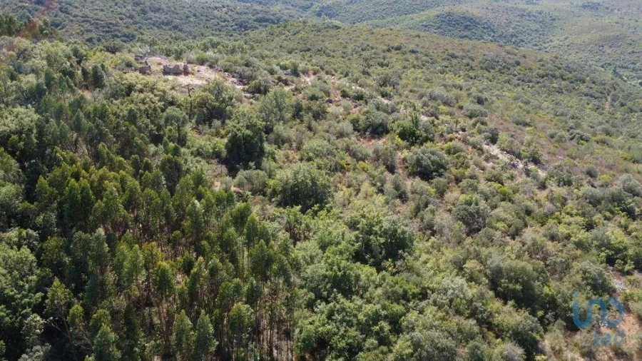 Terreno para Venda em Freixianda, Ribeira do Fárrio e Formigais Foto 5