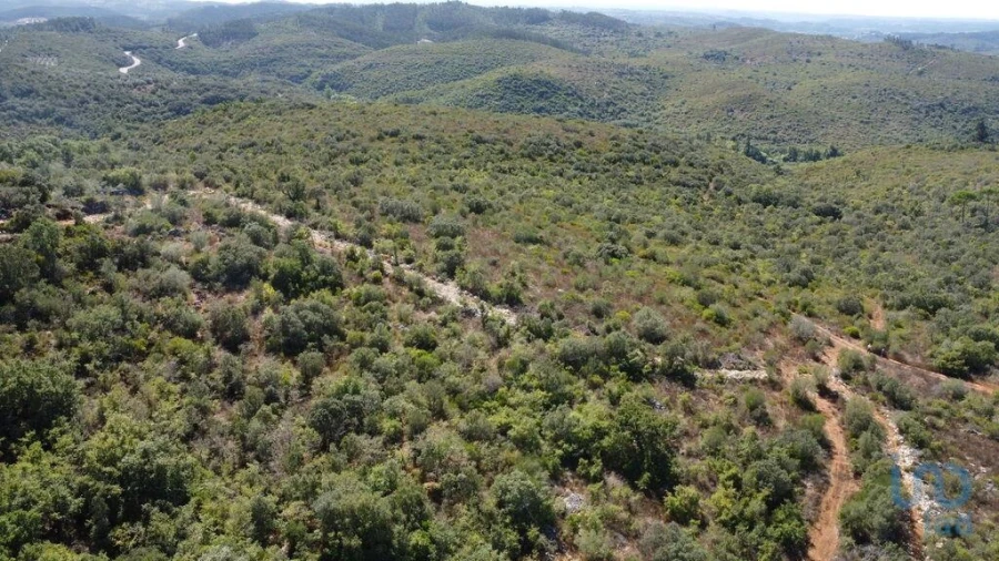 Terreno para Venda em Freixianda, Ribeira do Fárrio e Formigais Foto 7