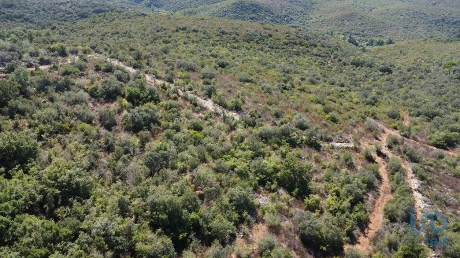 Terreno para Venda em Freixianda, Ribeira do Fárrio e Formigais Foto 6