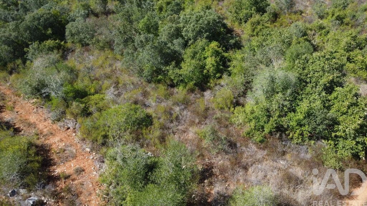 Terreno para Venda em Freixianda, Ribeira do Fárrio e Formigais Foto 16