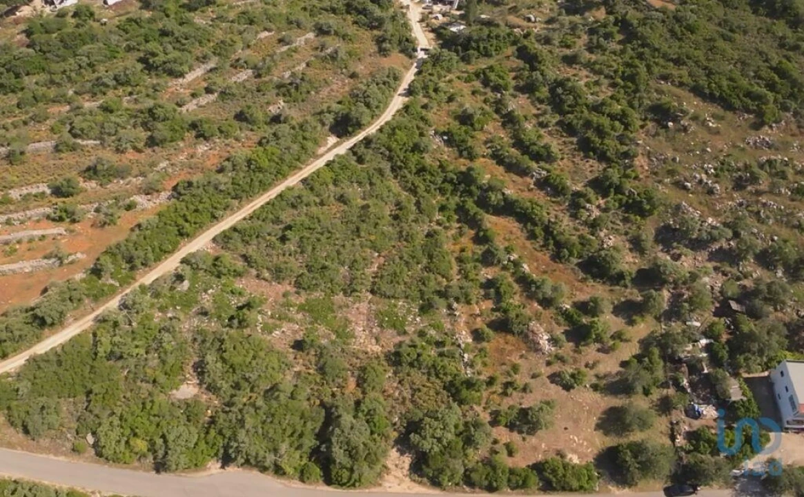 Terreno para Venda em Conceição e Estoi Foto 3
