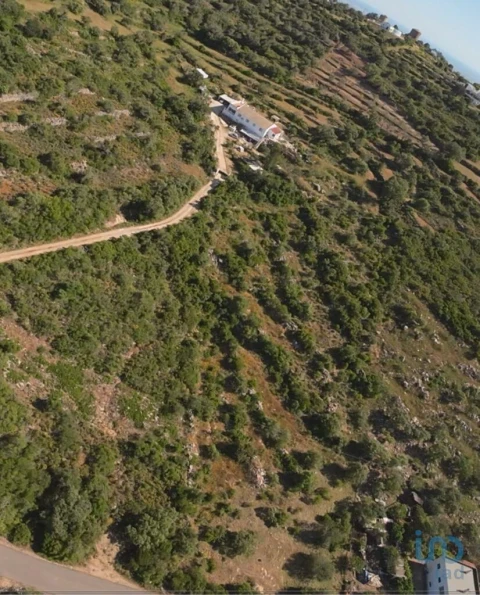Terreno para Venda em Conceição e Estoi
