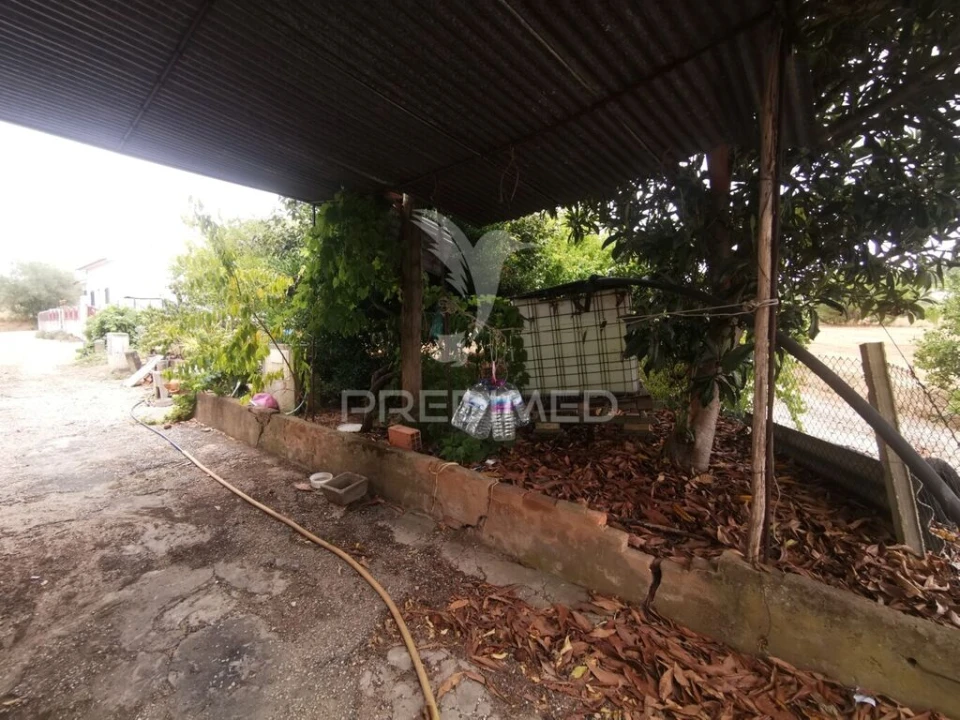 Moradia T2 para Venda em Paialvo Foto 3